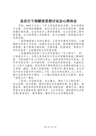 县农行干部解放思想讨论会心得体会