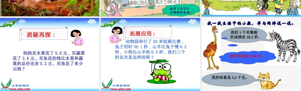 《森林旅游》课件ok