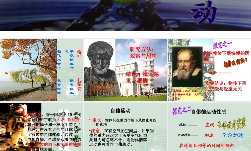 课件：自由落体运动