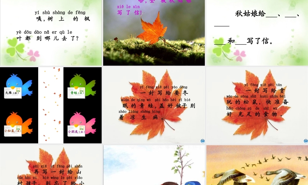 秋姑娘的信__课件