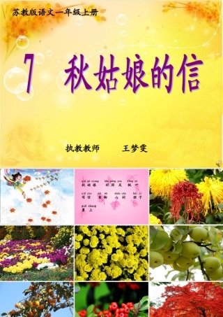 秋姑娘的信__课件