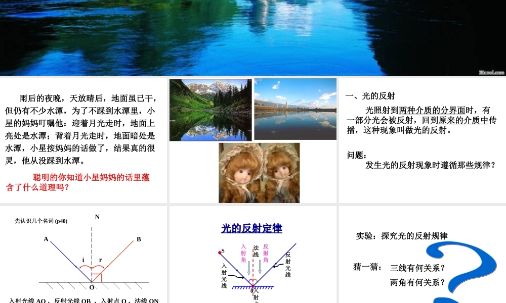 （精品）初二物理光的反射