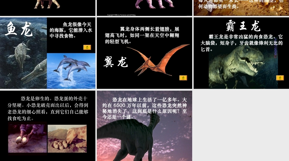 王艳苏教版三年级下册《恐龙》课件