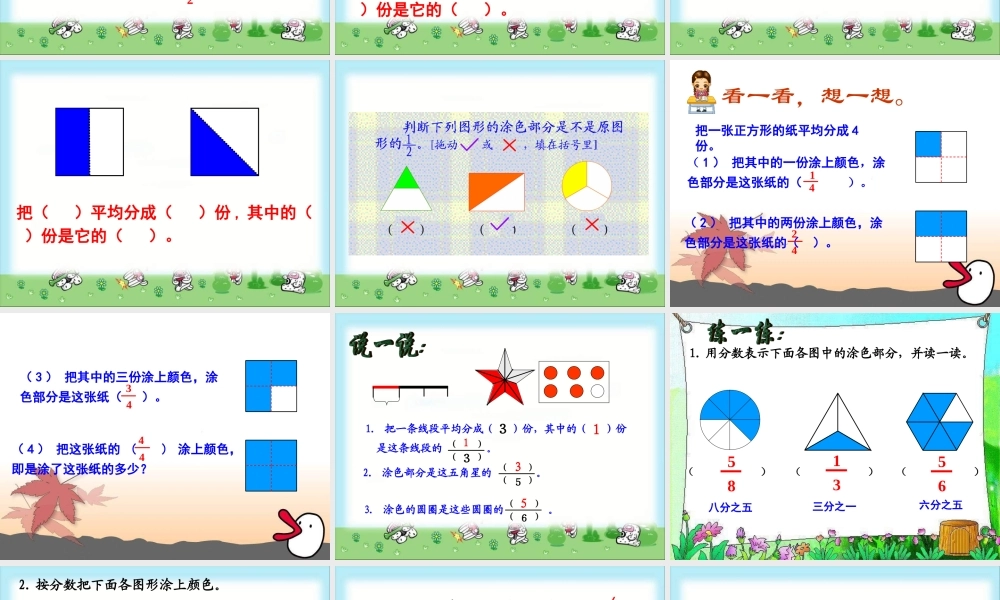 《分一分（一）》