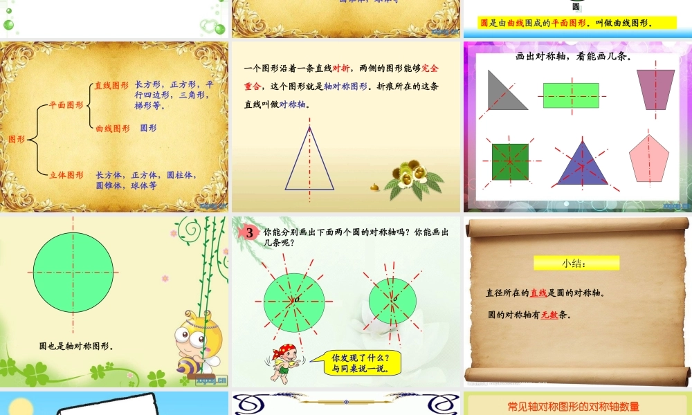 圆的对称性课件