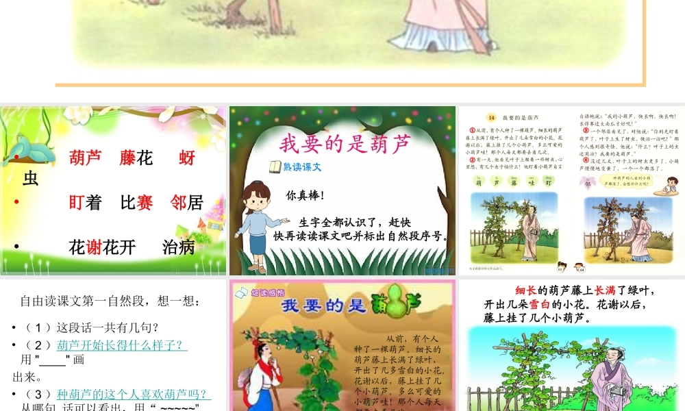 人教版语文第三册我要的是葫芦第二课时课件