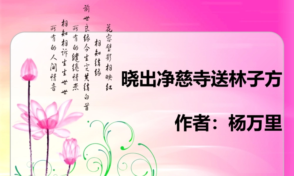 《晓出净慈寺送林子方》