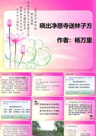 《晓出净慈寺送林子方》