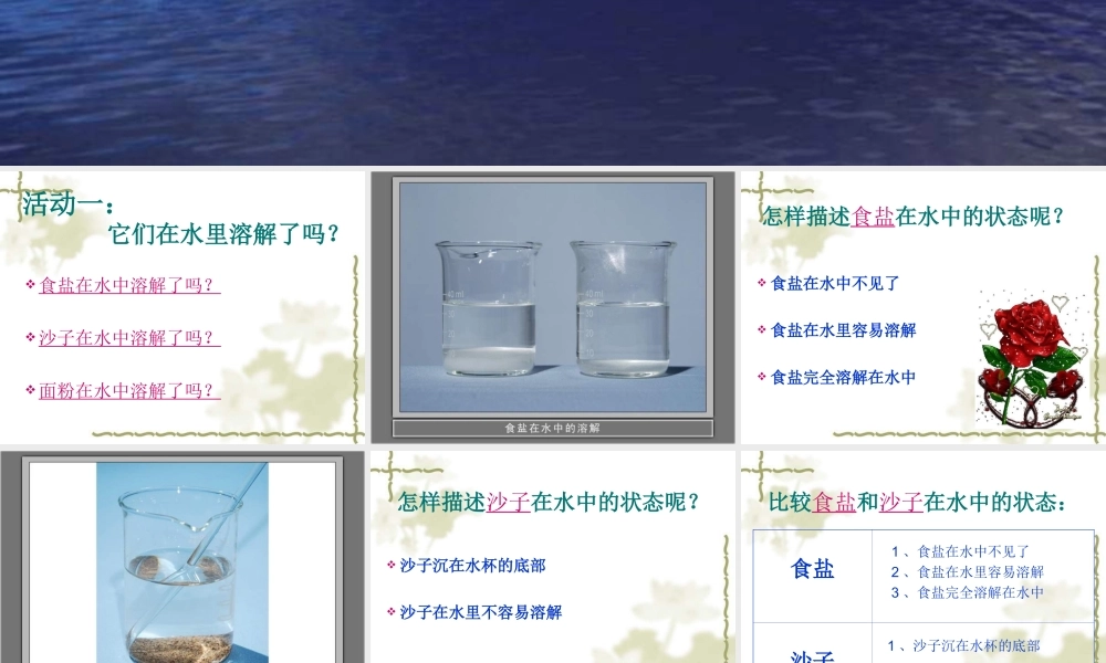 《水能溶解一些物质》PPT课件