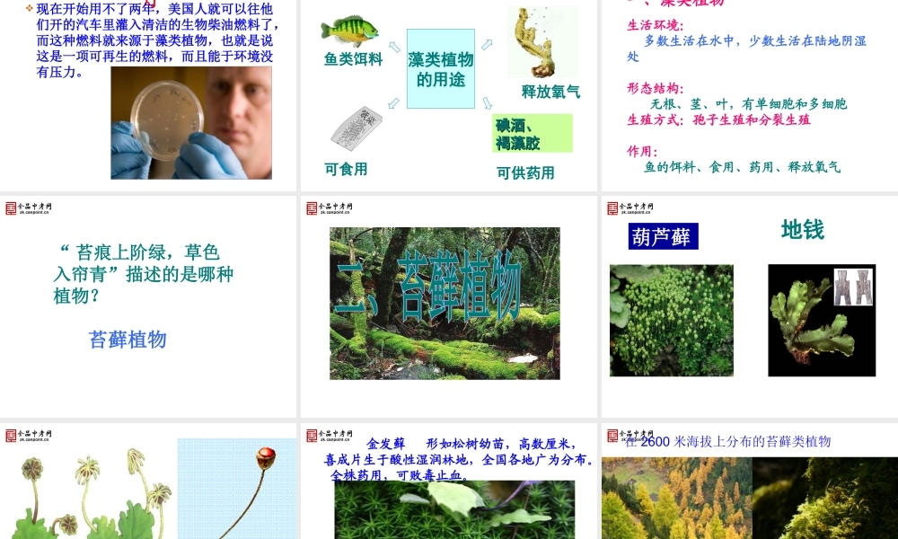 【精品课件二】第一节藻类、苔藓和蕨类植物N