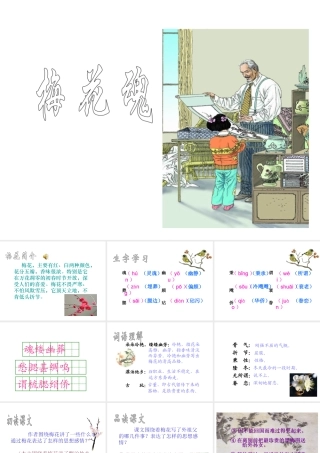 梅花魂PPt