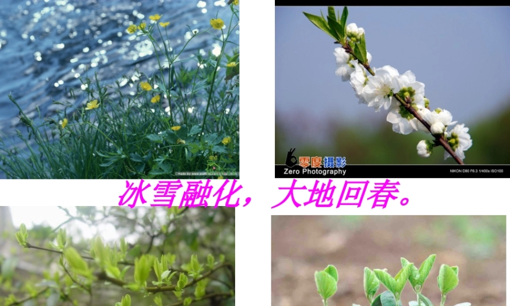 《燕子》课件杜小红