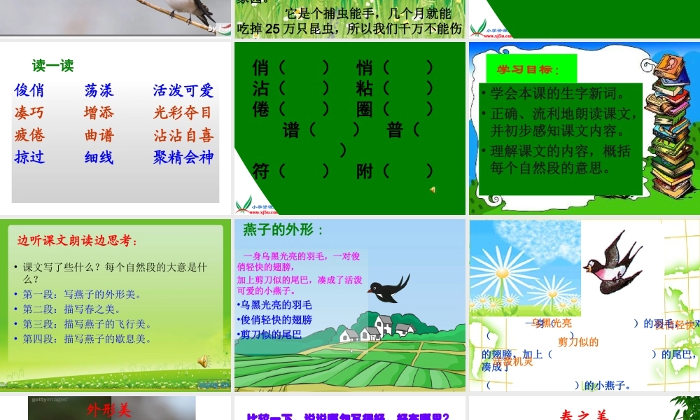 《燕子》课件杜小红