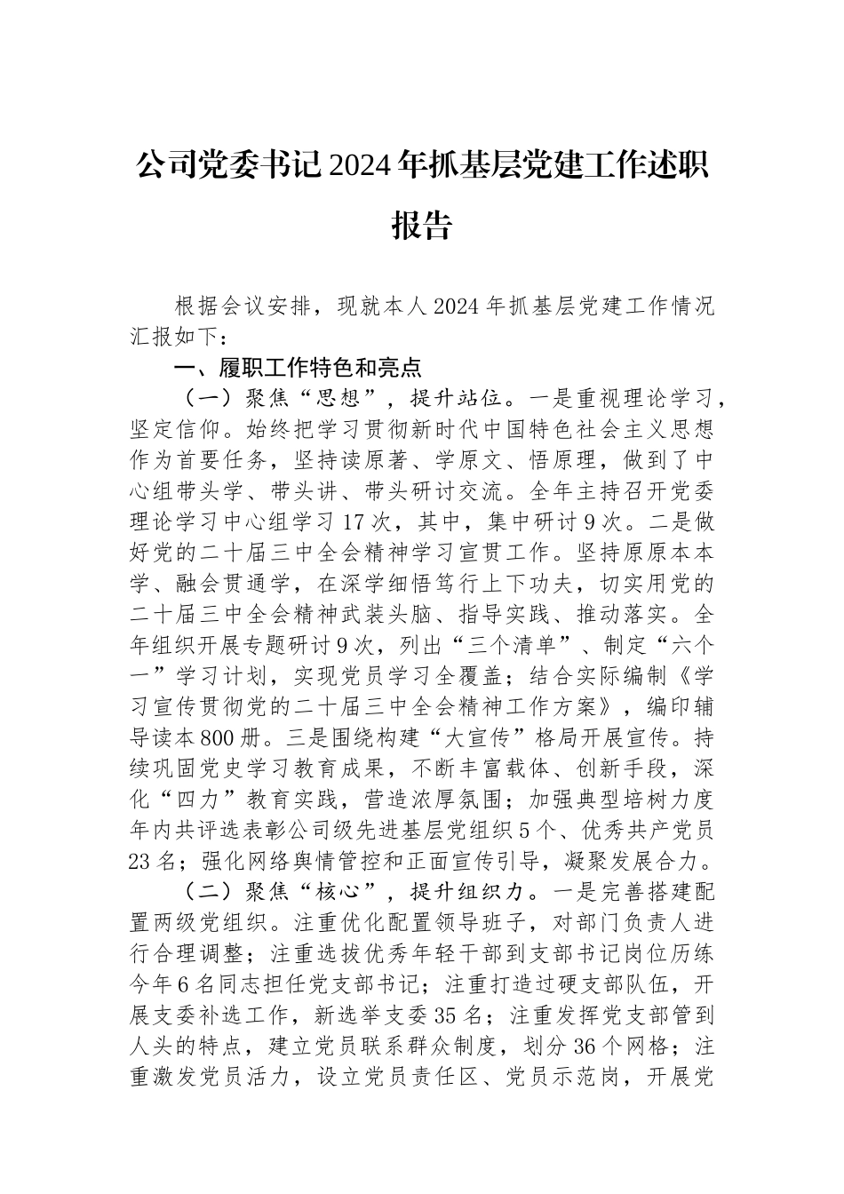 公司党委书记2024年抓基层党建工作述职报告_第1页