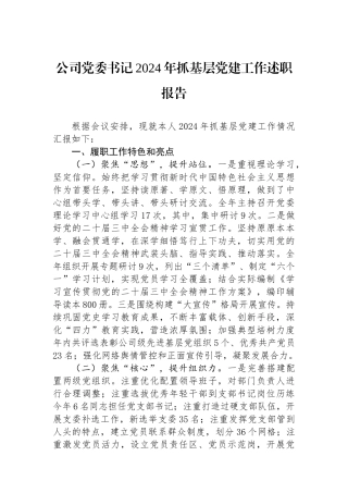 公司党委书记2024年抓基层党建工作述职报告
