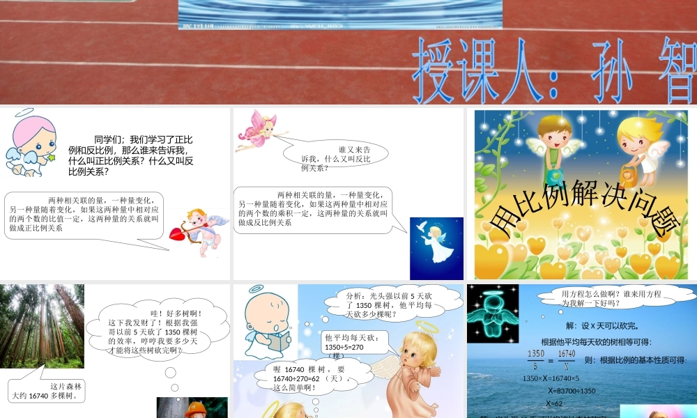 用比例解决问题