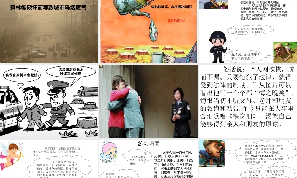 用比例解决问题