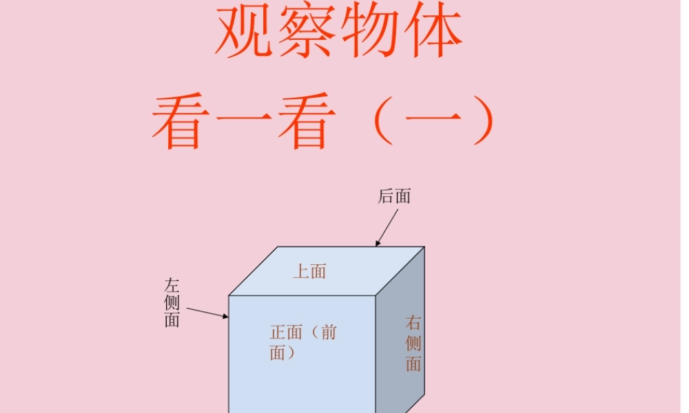 小学三年级数学北师大新版观察物体看一看（一）