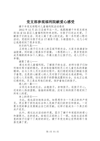 党支部参观福利院献爱心感受