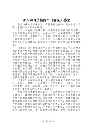 深入学习贯彻两个《意见》感想