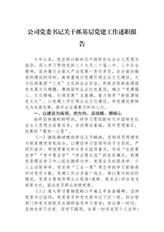 公司党委书记关于抓基层党建工作述职报告
