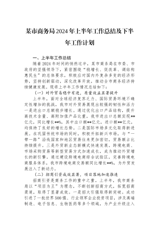 某市商务局2024年上半年工作总结及下半年工作计划