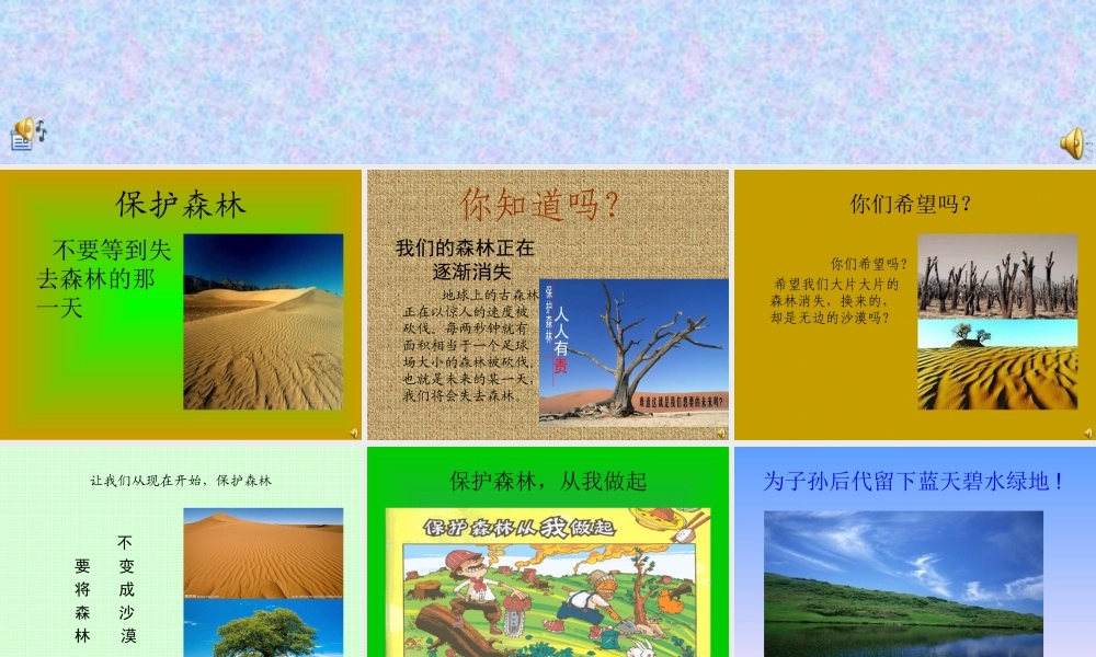 我们要保护森林