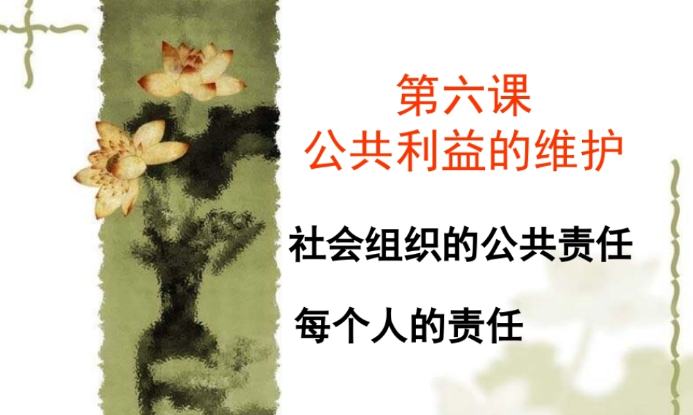 第六公共利益的维护