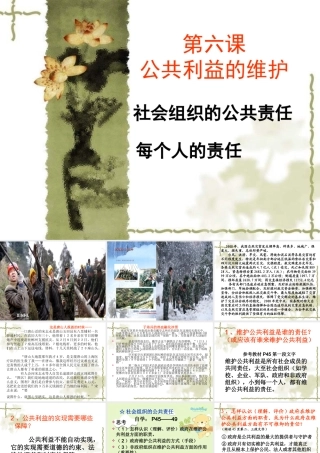 第六公共利益的维护