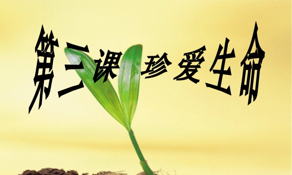 世界因生命而精彩课件