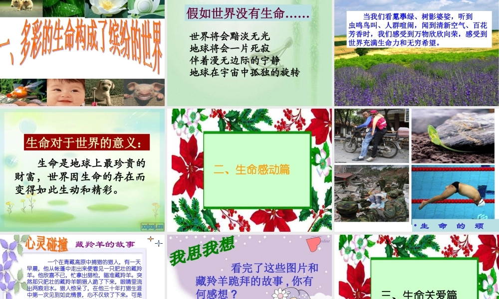 世界因生命而精彩课件