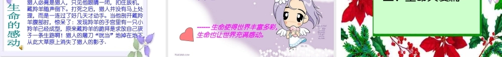 世界因生命而精彩课件