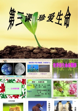 世界因生命而精彩课件