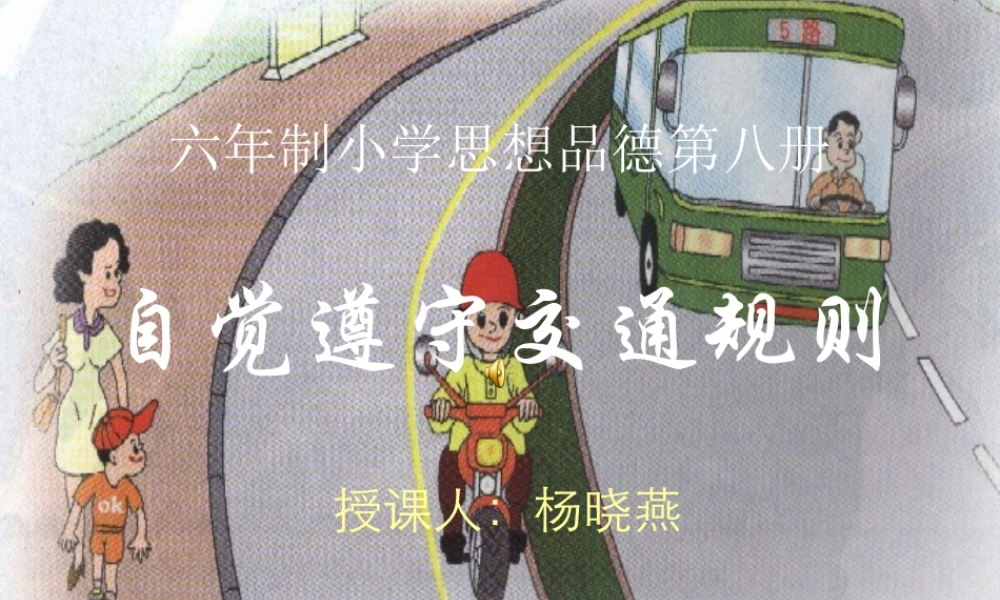 自觉遵守交通规则