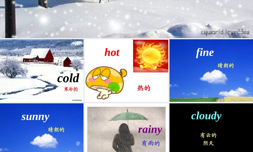 四年级知识结构图