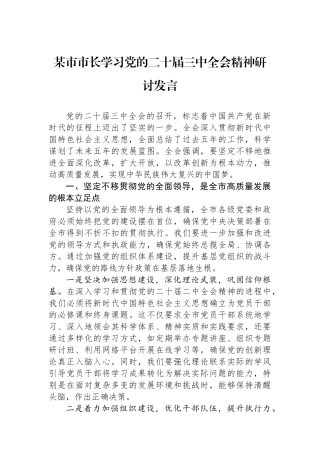 某市市长学习党的二十届三中全会精神研讨发言