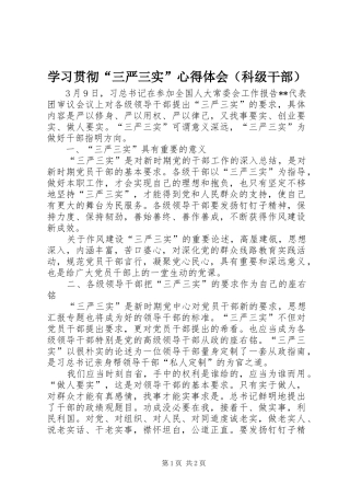 学习贯彻“三严三实”心得体会（科级干部）