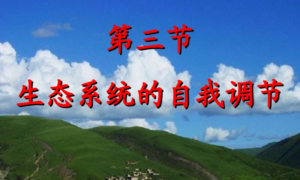 生态系统的自我调节