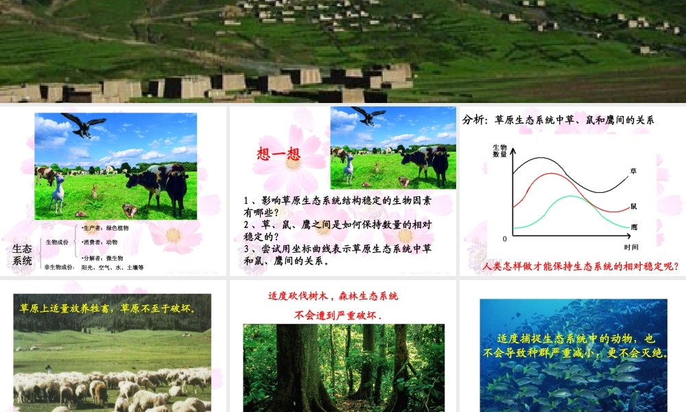 生态系统的自我调节