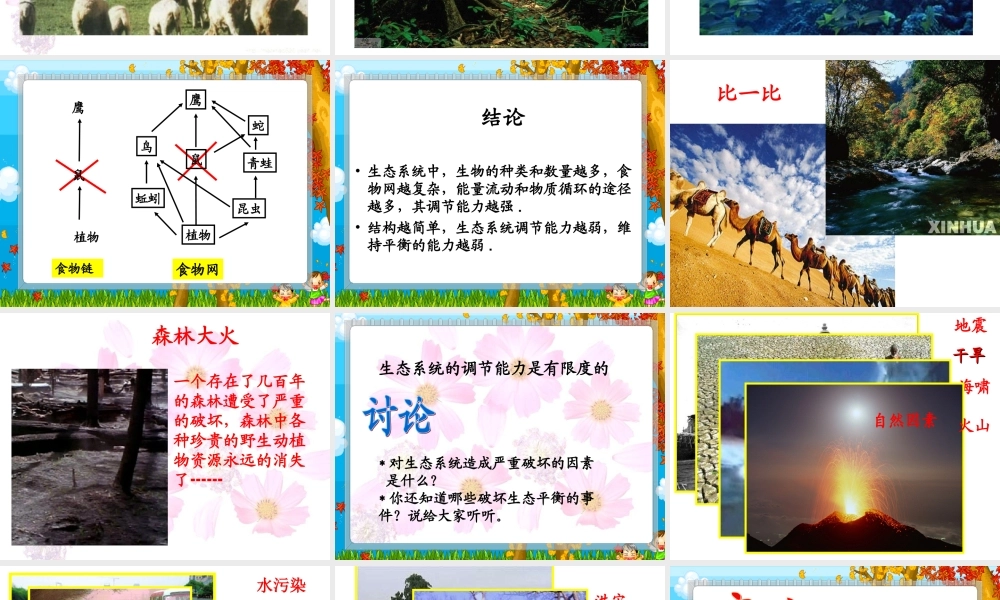 生态系统的自我调节