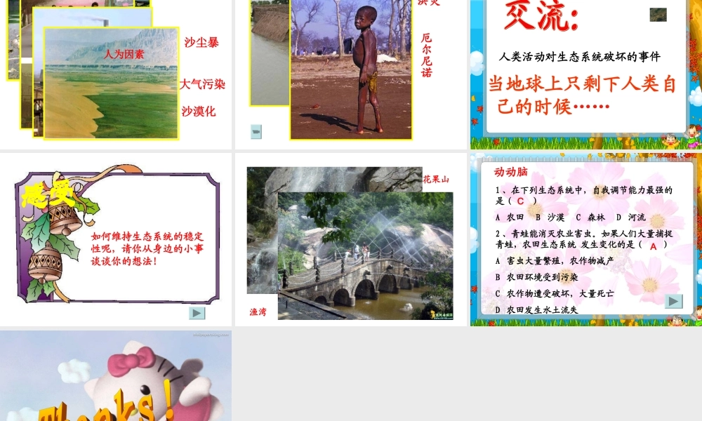 生态系统的自我调节