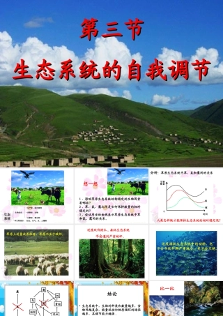 生态系统的自我调节