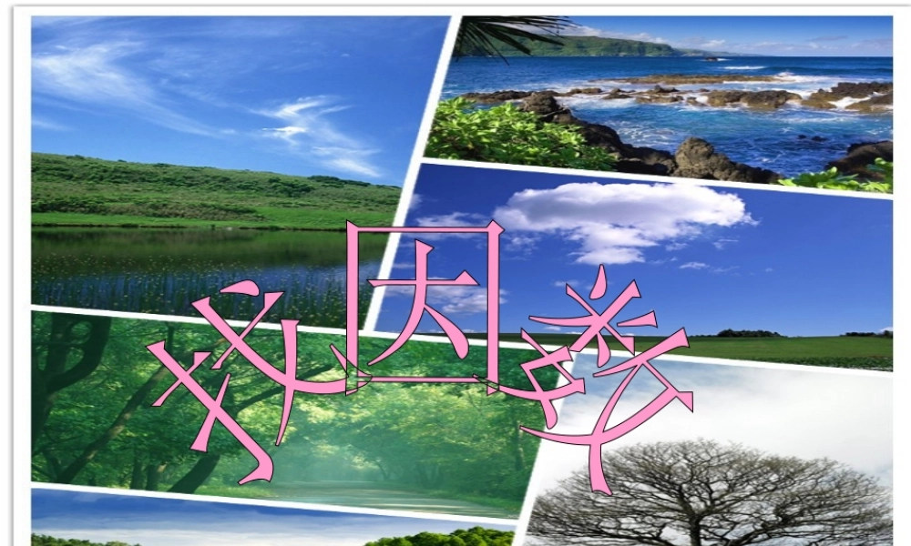 《找因数》课件