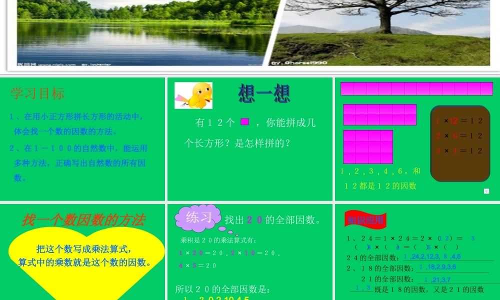 《找因数》课件