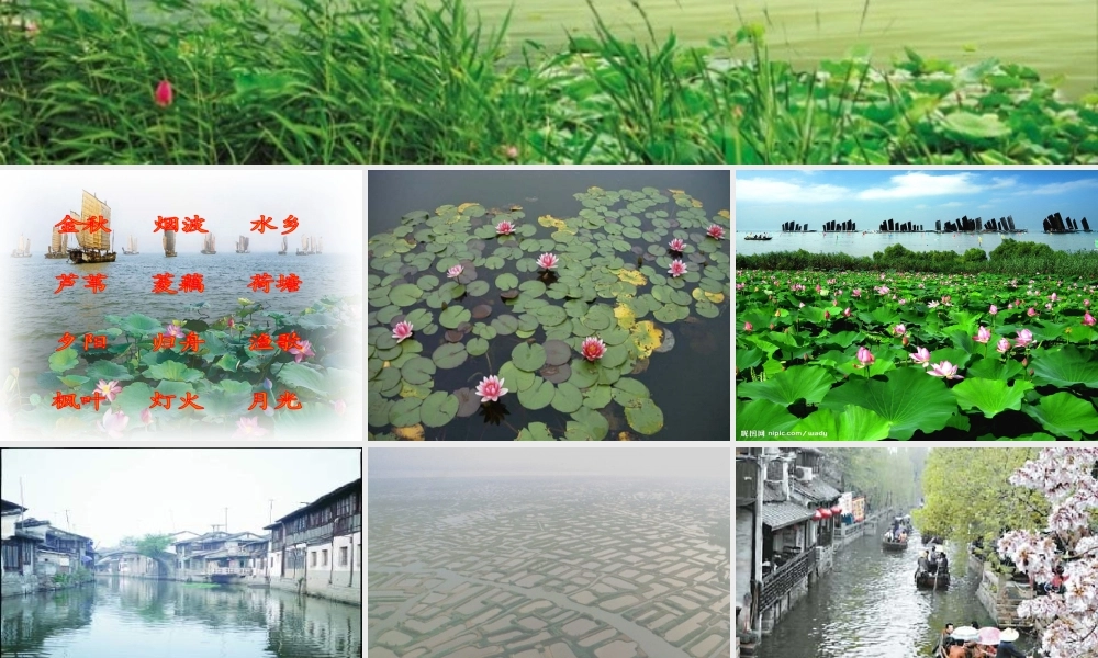 水乡歌第一课时