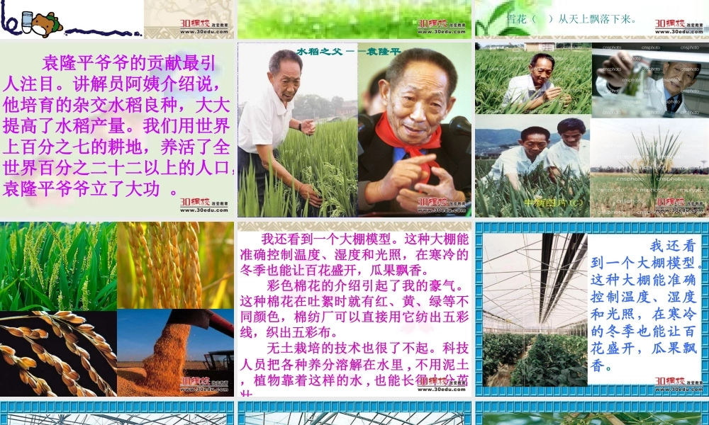 人教版小学语文二年级上册《农业的变化真大》课件