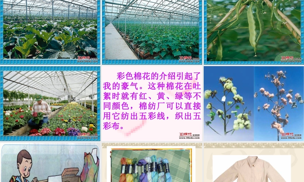 人教版小学语文二年级上册《农业的变化真大》课件