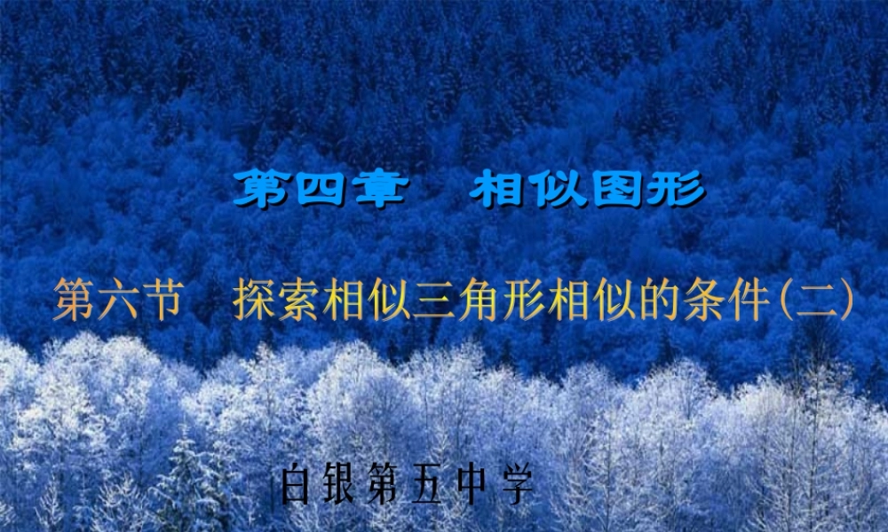 三角形相似（二）