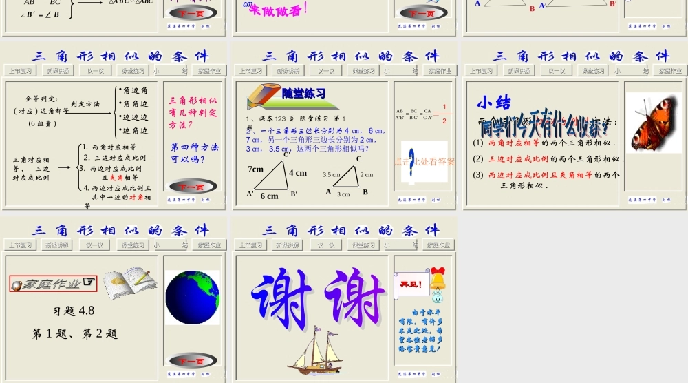 三角形相似（二）