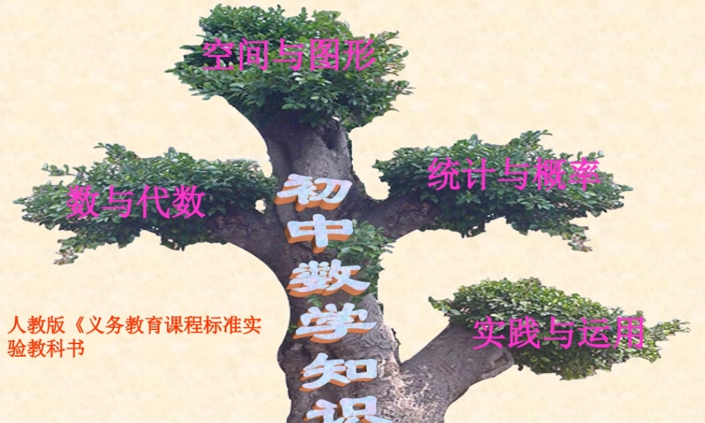 初中数学知识树（王晓波）